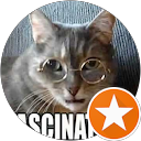 ProMo dude profile picture